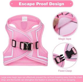 img 1 attached to 🐱 Escape Proof Cat Harness and Leash Set - PUPTECK Breathable Vest for Outdoor Walking - Reflective Adjustable Soft Mesh Kitty Puppy Harness, Easy Control