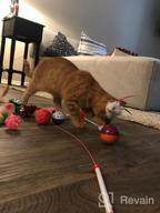 img 1 attached to 16PCS Cat And Kitten Toy Assortment: Interactive Feather Teasers, Mouse Tumblers, Mylar Crinkle Balls, Bells And More - Perfect For Chewing And Playing (Random Colors) review by Christian Bennett
