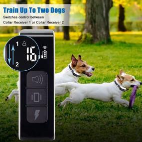 img 1 attached to 🐶 ZTdyna Dog Training Collar with Remote, 3 Safe Training Modes, IPX7 Waterproof Electric Bark Collar for Small Medium Large Dogs 20-100 lbs - Rechargeable & Optimized for SEO