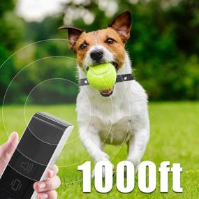 img 3 attached to 🐶 ZTdyna Dog Training Collar with Remote, 3 Safe Training Modes, IPX7 Waterproof Electric Bark Collar for Small Medium Large Dogs 20-100 lbs - Rechargeable & Optimized for SEO