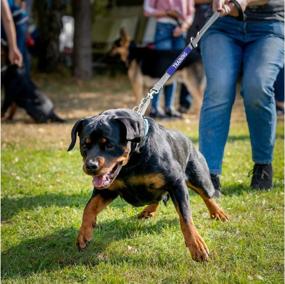 img 3 attached to 🐕 Tacticollar - Advanced Warning Dog Leash Sleeves for Accident Prevention and Training