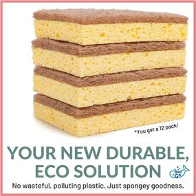 img 1 attached to ecoGo 12 Biodegradable Kitchen Cleaning Scrub Sponges - Cellulose Dish Sponges for Dishes - Compostable Eco Dish Sponge - Natural Kitchen Sponges and Scrubbers - Kitchen Sponges Pack (12)