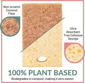 img 3 attached to ecoGo 12 Biodegradable Kitchen Cleaning Scrub Sponges - Cellulose Dish Sponges for Dishes - Compostable Eco Dish Sponge - Natural Kitchen Sponges and Scrubbers - Kitchen Sponges Pack (12)