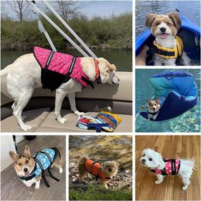 img 3 attached to 🐾 Ultimate Safety & Style: Dogcheer Ripstop Dog Life Jacket, Reflective & Adjustable Swim Vest for Small, Medium & Large Dogs - Ideal for Boating, Swimming & Rescue