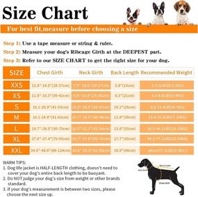 img 2 attached to 🐾 Ultimate Safety & Style: Dogcheer Ripstop Dog Life Jacket, Reflective & Adjustable Swim Vest for Small, Medium & Large Dogs - Ideal for Boating, Swimming & Rescue