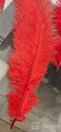 img 1 attached to 20Pcs Black Ostrich Feathers 12-14In Plumes Bulk DIY Halloween Decorations Wedding Party Centerpieces Gatsby Decorations review by Steve Waldbillig