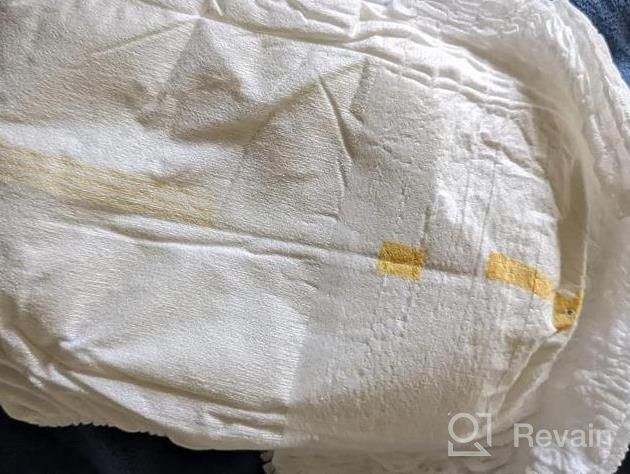 img 1 attached to Premium Eco-Friendly Toddler Potty Training Pants - Bamboo Viscose, Honest Ingredients, Hypoallergenic, Unscented - Perfect For Day & Night Use review by Audrey Ortiz
