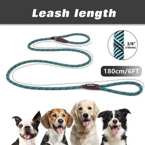 img 3 attached to 🐶 Reflective Dog Training Leash - PetiFine 6 FT Slip Lead, Heavy Duty Nylon Slip Rope for Small Medium Large Dogs (Blue, 3/8" - 6 FT)