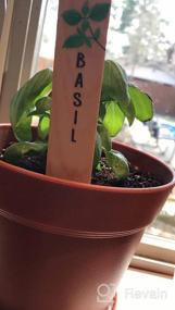 img 7 attached to 12-Pack Re-Usable Wooden Plant Labels - Perfect For Indoor/Outdoor Kitchen Herbs Garden Gifts