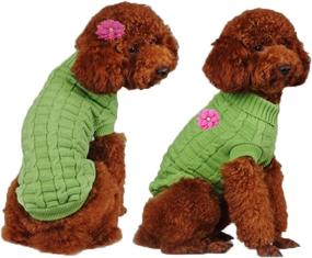 img 1 attached to 🐱 Green Cat Dog Sweater for Small Pets, Cozy Turtleneck Knitted Knitwear with Braid Plait & Fabric Flower Clip (XS)