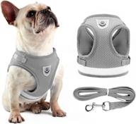 harnesses harness reflective breathable material logo