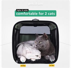 img 2 attached to Top Load Pet Carrier For Large, Medium Cats, 2 Cats And Small Dogs With Comfy Bed. Easy To Get Cat In, Escape Proof, Easy Storage, Washable, Safe And Comfortable For Vet Visit And Car Ride
