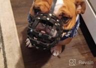 img 1 attached to Secure And Breathable Leather Basket Muzzle For Boxer And Bulldog Breeds - Anti-Bark And Chew Solutions review by John Walker