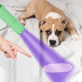 img 3 attached to 🔦 COSOOS Mini Blacklight Flashlight with 9 LEDs, Portable Handheld UV Light for Detecting Dog Pet Urine Stains, Bed Bugs, Nail Drying Gel - Green
