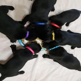 img 3 attached to 15 PCS Soft Nylon Puppy ID Collars - Adjustable Safety Whelping Litter Collars for Newborn Puppies & Kittens