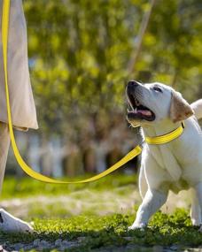 img 2 attached to Reflective Nylon Dog Leash With Padded Handle - Suitable For Medium & Large Breeds - 5FT In Length, Ideal For Walking & Training - Vibrant Yellow Color