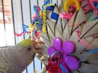 🐦 super bird creations sb948 pinwheel bird toy 8" x 5.5" - engaging interactive toy for birds логотип