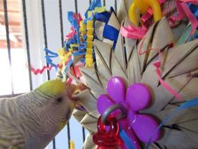 img 1 attached to 🐦 Super Bird Creations SB948 Pinwheel Bird Toy 8" x 5.5" - Engaging Interactive Toy for Birds