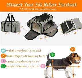 img 3 attached to Expandable Pet Travel Carrier for Cats Small Dog - Airline Approved, 4 Sides, Collapsible Design with 2 Mesh Pockets, 3 Entry Points, Washable Pads, and Shoulder Strap