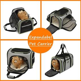 img 2 attached to Expandable Pet Travel Carrier for Cats Small Dog - Airline Approved, 4 Sides, Collapsible Design with 2 Mesh Pockets, 3 Entry Points, Washable Pads, and Shoulder Strap