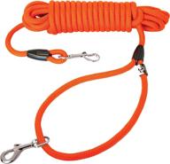 🐾 downtown pet supply - heavy-duty corded dog leash: ultimate recall & obedience training tool for strong dogs. logo