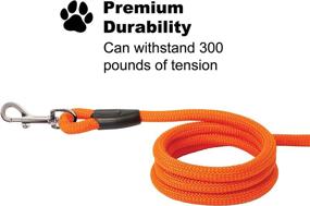 img 3 attached to 🐾 Downtown Pet Supply - Heavy-Duty Corded Dog Leash: Ultimate Recall & Obedience Training Tool for Strong Dogs.