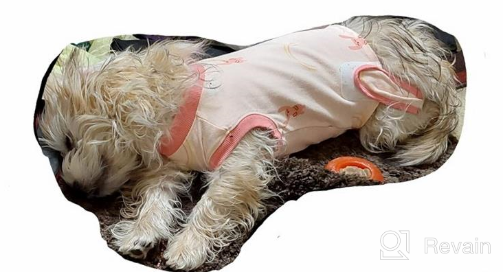 img 1 attached to Dog Recovery Suit After Surgery, 2Nd Edition - Male Female Dog Cats Cone E-Collar Alternative Abdominal Wounds Spay Bandages Onesie Anti-Licking Pet Surgical Snuggly Suit review by Jennifer Witcofski