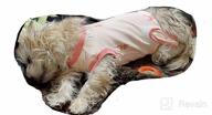 картинка 1 прикреплена к отзыву Dog Recovery Suit After Surgery, 2Nd Edition - Male Female Dog Cats Cone E-Collar Alternative Abdominal Wounds Spay Bandages Onesie Anti-Licking Pet Surgical Snuggly Suit от Jennifer Witcofski