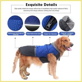 img 2 attached to 🐶 EMUST Reversible Dog Coat: Ultimate Winter Protection for Small, Medium, and Large Dogs