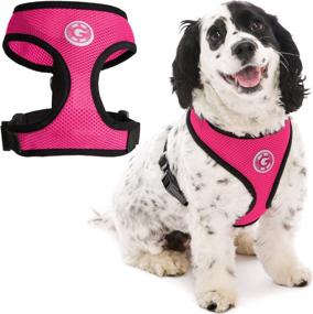 img 4 attached to Gooby Soft Mesh Dog Harness - Breathable & All Weather Head-in Small Dog Harness - D Ring Leash - Ideal for Medium & Small Dogs - No Pull, Indoor/Outdoor Use