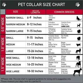 img 1 attached to Buckle Down Plastic Clip Collar Cats best: Collars, Harnesses & Leashes