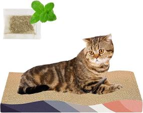 img 4 attached to 🐱 Premium LALFPET Cat Scratch Pad - Double-Sided Durable Design with Catnip for Ultimate Cat Satisfaction