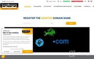 img 1 attached to SafeBrands Domain Registration review by Ken Hamdan
