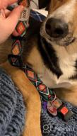 img 1 attached to Trendy Yet Practical: Adjustable Tribal Dog Collar With A Quick Release Buckle For Small To Large Breeds review by Prem Robinson