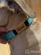 img 1 attached to Personalized Red Nylon Dog Collar With Engraved Name Plate - Perfect For Large Dogs | Joytale review by Brandon Barrett