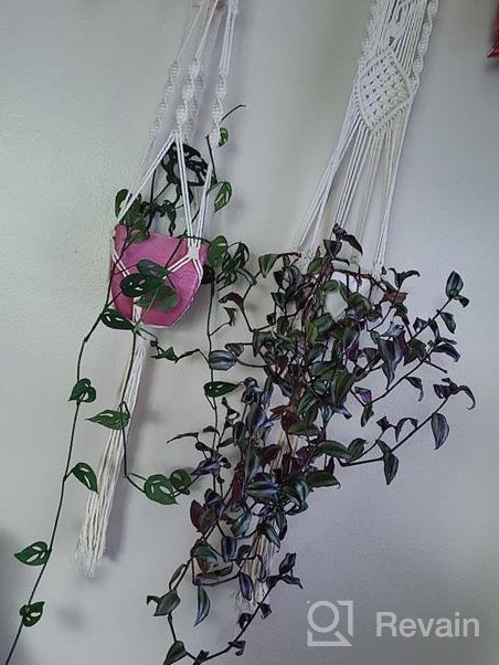 img 1 attached to Add Vibrant Greenery To Your Home With ZOUTOG'S Set Of 4 Handcrafted Macrame Plant Hangers review by William Byrd