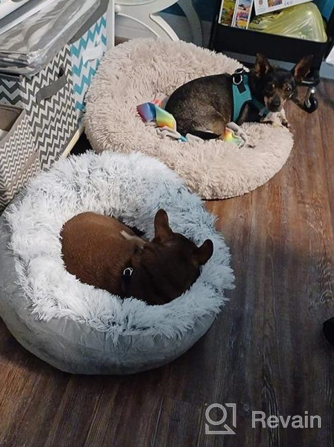 img 1 attached to Grey Anti-Anxiety Donut Dog Bed For Small Medium Dogs - Calming Pet Cuddler Bed With Soft Plush Faux Fur, Machine Washable And Anti-Slip Bottom By JOEJOY review by Oscar Kaufman