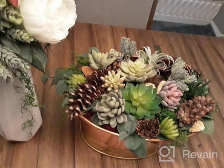 img 1 attached to Decorate Your Home With Supla 15 Pcs Assorted Artificial Succulent Plants - Bulk Pack review by Jessie Drury