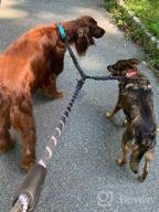 img 1 attached to Large 25-150 Lbs Black Dual Dog Leash With 360 Swivel No Tangle Walking, Shock Absorbing Bungee For Two Dogs - IYoShop review by Mike Littlejohn