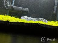 img 1 attached to Live Freshwater Aquarium Plants: Dwarf Baby Tears, Hemianthus Callitrichoides, Java Moss In Vitro TC Cup By Greenpro review by Brian Fisher