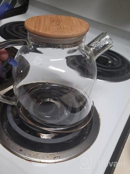 img 1 attached to CnGlass 20.3 Oz Clear Glass Teapot With Removable Filter Spout - Perfect For Loose Leaf And Blooming Tea On Stovetop review by Steve Cypert