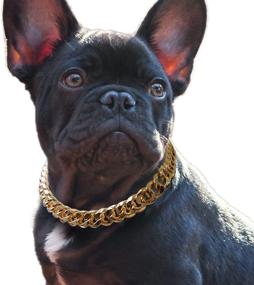 img 4 attached to 🔗 Cuban Link Dog Collar - Stylish 3/4 inch Wide Light Metal Gold Chain Necklace for Trendy Puppies, French Bulldogs, Bullies, Dobermans - 16 inches