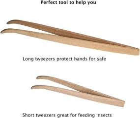 img 1 attached to 🦎 ASOCEA Reptile Bamboo Tweezers: Essential Feeding Tools for Lizards, Dragons, Turtles, and More! (Pack of 2)