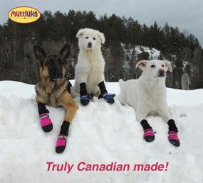img 2 attached to Muttluks Fleece Lined Dog Boots Dogs