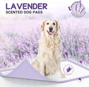 img 3 attached to CROCI Lavender Scented Puppy Pads - Extra Large, Highly Absorbent And Odor Eliminating - 40 Count Disposable Pee Pads For Dogs