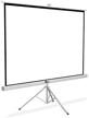 qian diban 100-inch matte white projection screen with tripod stand (qpd-69602) for improved seo logo