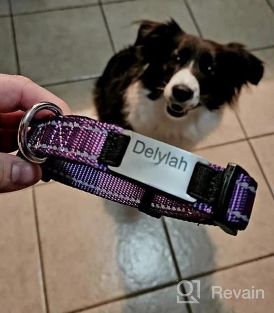 img 1 attached to Personalized Red Nylon Dog Collar With Engraved Name Plate - Perfect For Large Dogs | Joytale review by Ryan Maruffo