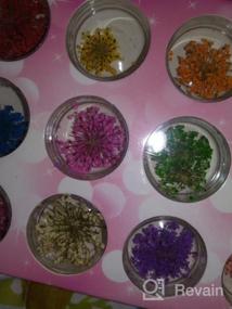 img 6 attached to 24 сетки сухоцветов аксессуары для дизайна ногтей: 24 красочных цветочных наклейки для ногтей для поделок, салонных наклеек и дизайна ювелирных изделий из смолы