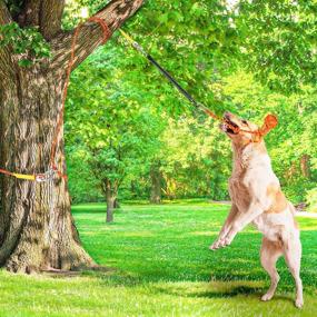 img 2 attached to XiaZ Spring Pole Dog Rope Toys - Outdoor Bungee Hanging Toy With 16Ft Rope For Pitbulls And Large Breeds, Perfect For Tug Of War, Pulling, And Exercise, Also Ideal For Solo Play