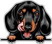 wickedgoodz funny dachshund vinyl decal logo